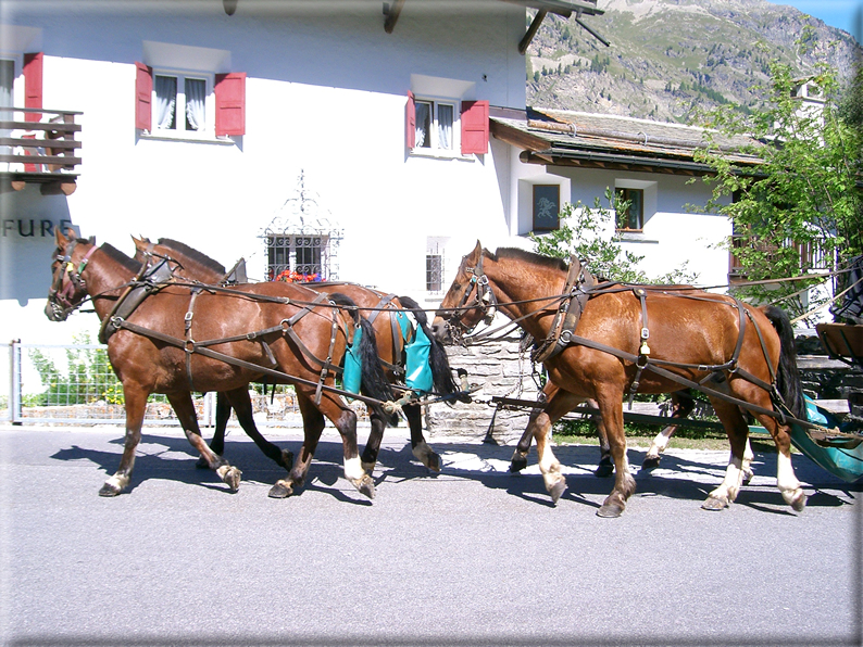 foto Sils Maria